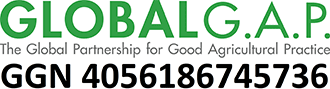 Logo CSI