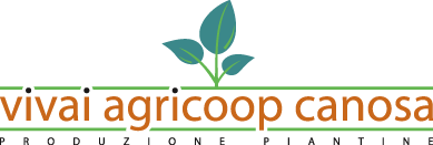 Logo Agricoop